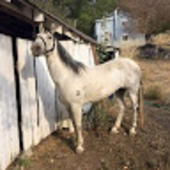 Meet your Posher, Jonathan - Picture 1 of 1